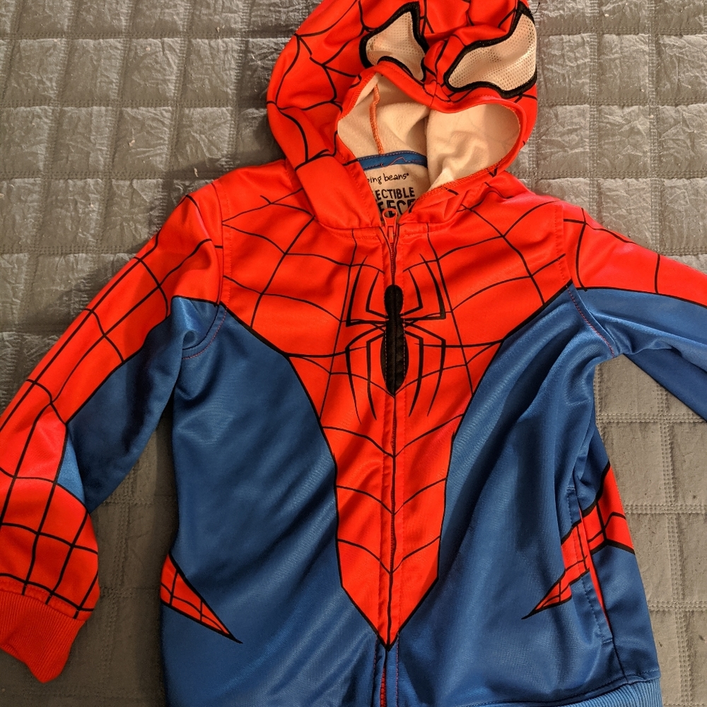 Boys Spiderman Hoodie